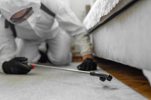 Professional Bed Bug Control technician working in Meriden, CT
