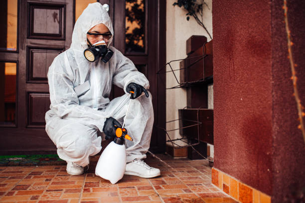 Reliable Bed Bug Control contractor in Meriden, CT by Nex Pest Control